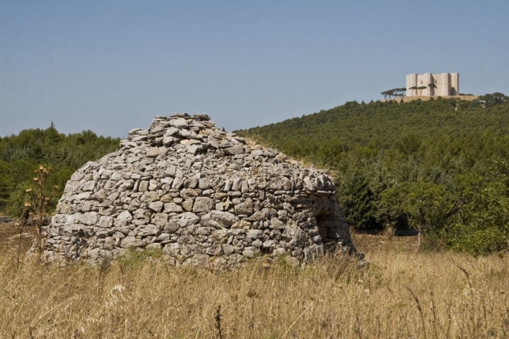 Sognare il castello di mikiproduction