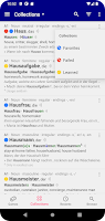Nouns German Dictionary Screenshot