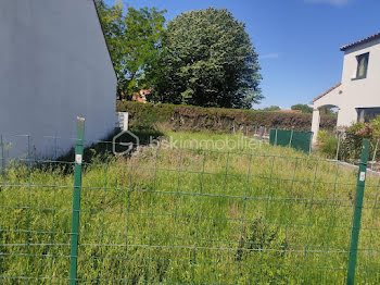 terrain à Saint-Cyprien (66)