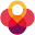 BloomPin Download on Windows