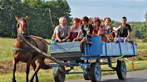 Jákó Szüreti Felvonulás 2016