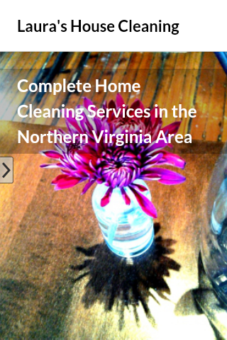 Laura's House Cleaning No.VA