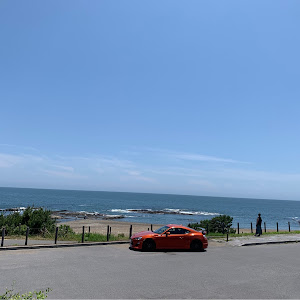 86 ZN6