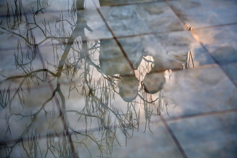 Fotografo di matrimoni Teresa Romeo Arena (romeoarena). Foto del 15 giugno 2018