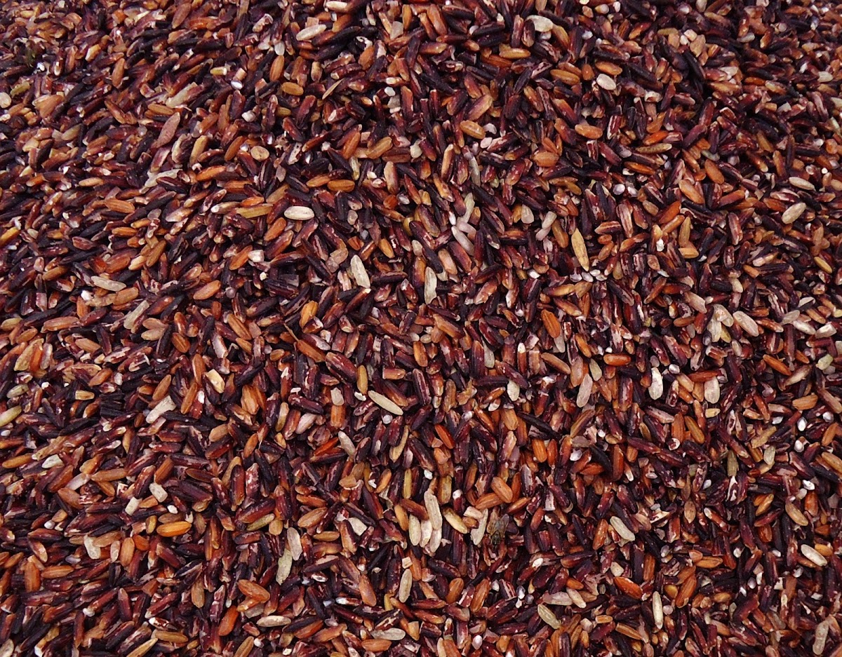 Asian black rice