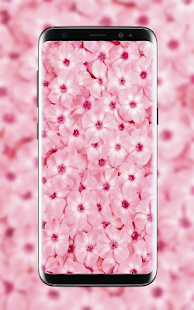 Fondos de Pantalla Primavera(圖6)-速報App