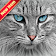 Cat Wallpapers icon