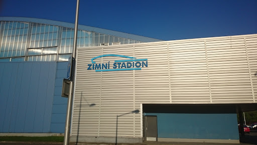 Zimní stadion VM