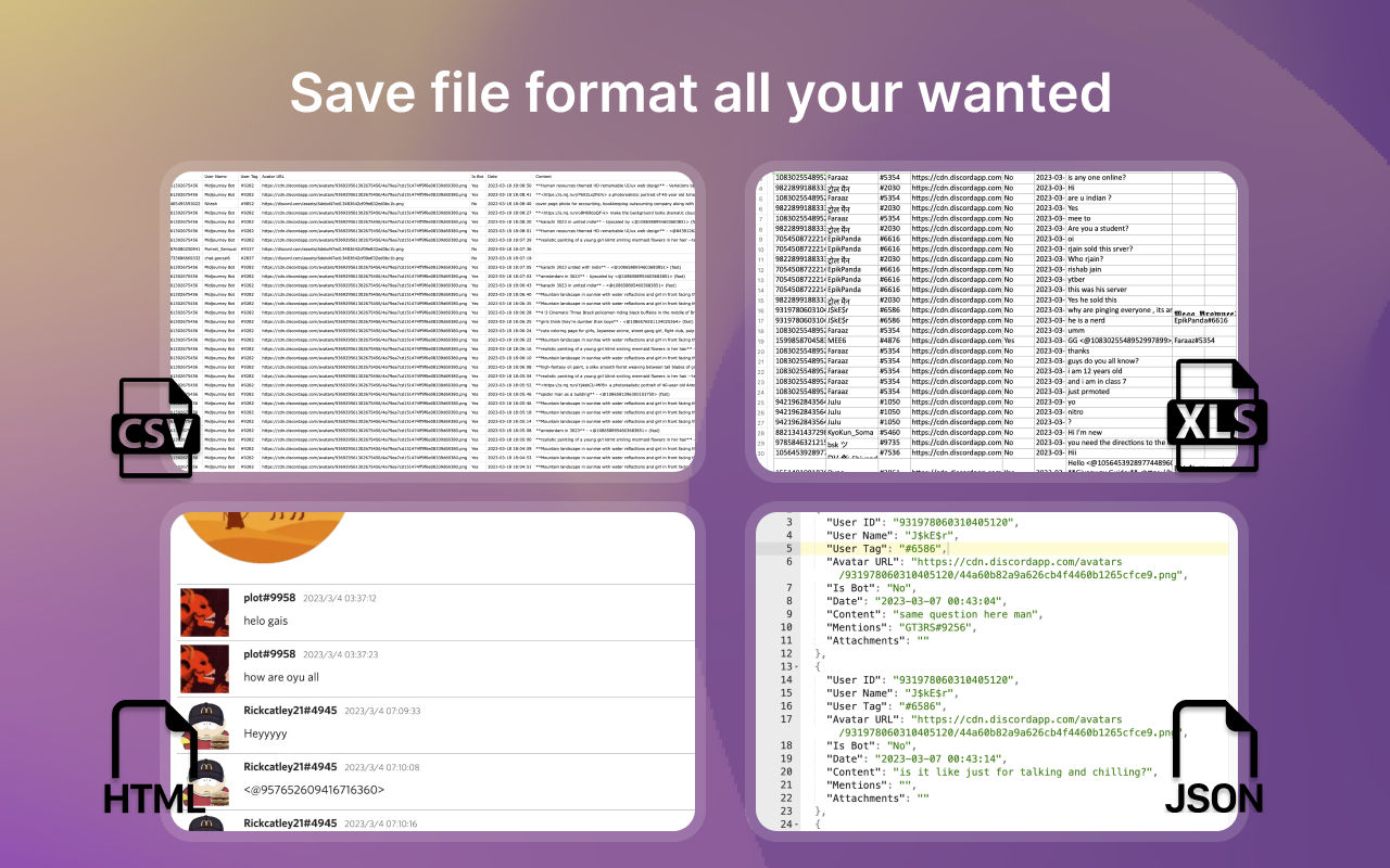 DiscordSaver - Export Discord Chat Messages Preview image 3