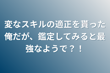 変なスキルの適正を貰った俺だが、鑑定してみると最強なようで？！