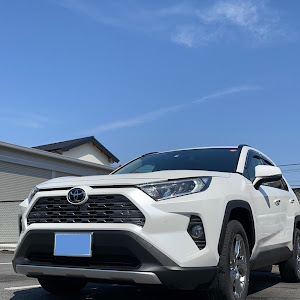 RAV4 MXAA54