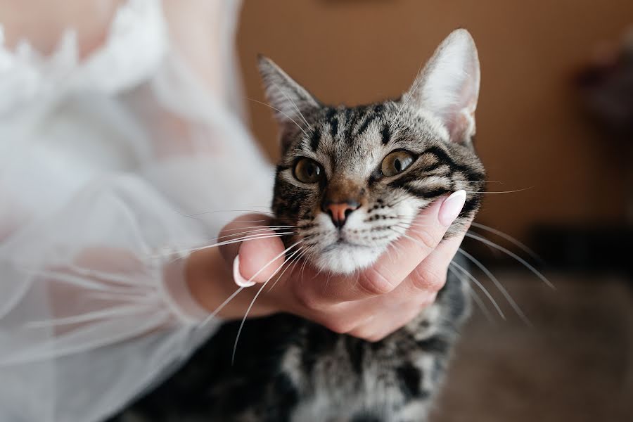 Hochzeitsfotograf Mila Koreshkova (koreshkovamila). Foto vom 4. Juli 2021