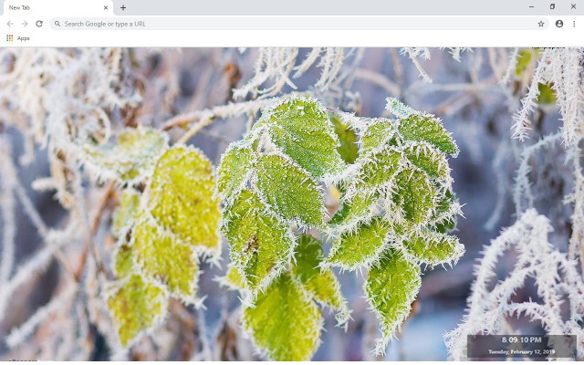 The Frost New Tab & Wallpapers Collection
