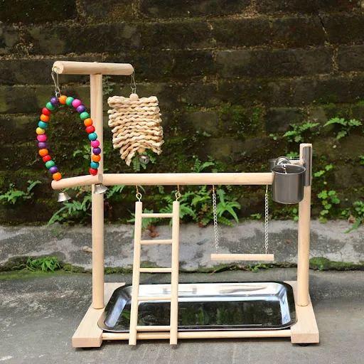 Bird Playground Perch Stand With Feeding Cups Swing Climbing Ladder Parrot Playstand Exercise Playgym For Parakeet Cocka
