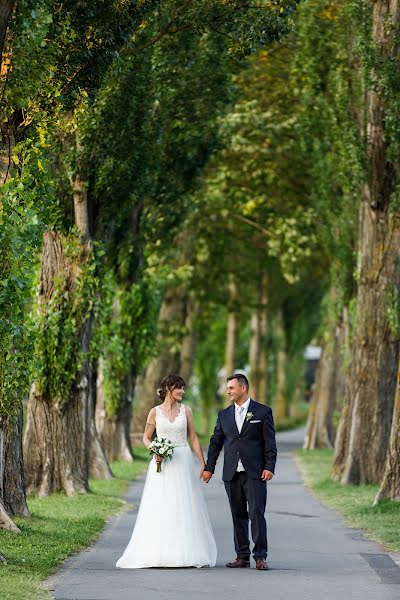 Wedding photographer Zoltán Füzesi (moksaphoto). Photo of 26 January 2020