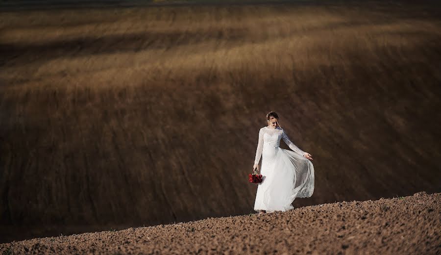 Svatební fotograf Aleksey Chipchiu (mailin315). Fotografie z 3.prosince 2017