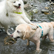 水源地餐廳