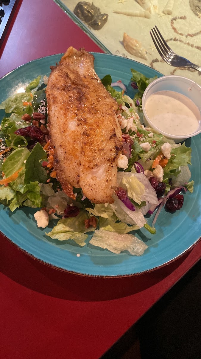 Grilled fish over chicken salad