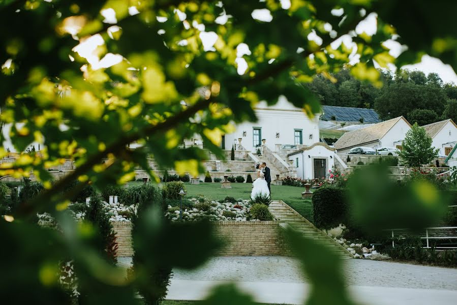 Wedding photographer Gábor Badics (badics). Photo of 14 September 2017