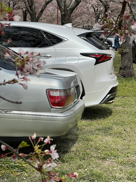 NXの桜とコラボ・サクラと愛車・ドライブ・クラウン・先輩の愛車に関するカスタム事例の投稿画像4枚目