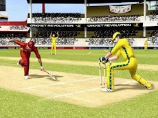 Cricket Games 2017 Free 3Dのおすすめ画像3