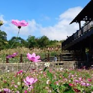 邀月茶坊Yaoyue Teahouse