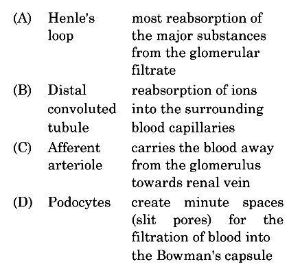 Nephron