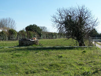 terrain à Royan (17)