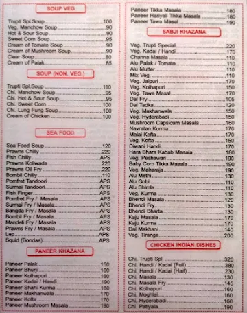 Hotel Trupti menu 