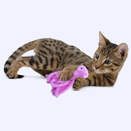 images slider number - 3