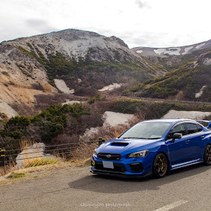 WRX STI VAB