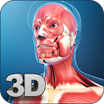 Cover Image of Download My Muscle Anatomy 1.1 APK
