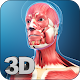 Download My Muscle Anatomy For PC Windows and Mac 1.1