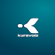 Kuravoiz New Platinum Install on Windows