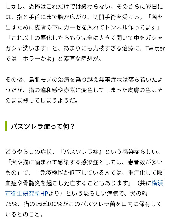 の投稿画像7枚目