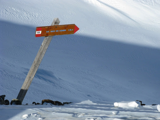 Sentiero chiuso per neve di pizzicastelle