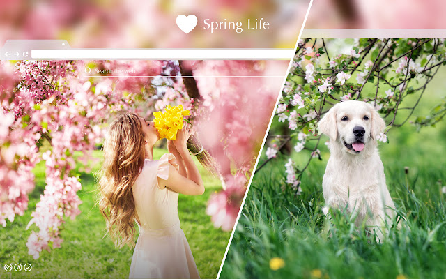 Spring Life HD Wallpaper New Tab Theme