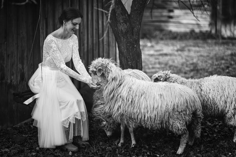 Fotografo di matrimoni Ákos Erdélyi (erdelyi). Foto del 18 ottobre 2021