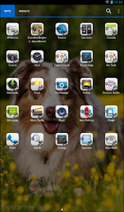 Australian Shepherd Theme screenshot 9