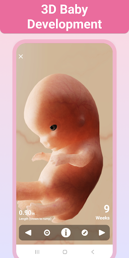 Pregnancy + | Tracker App screenshot #4