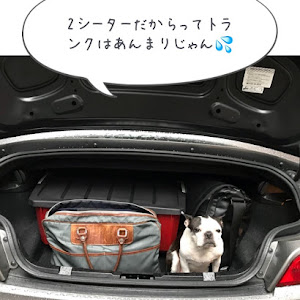Z4 ロードスター