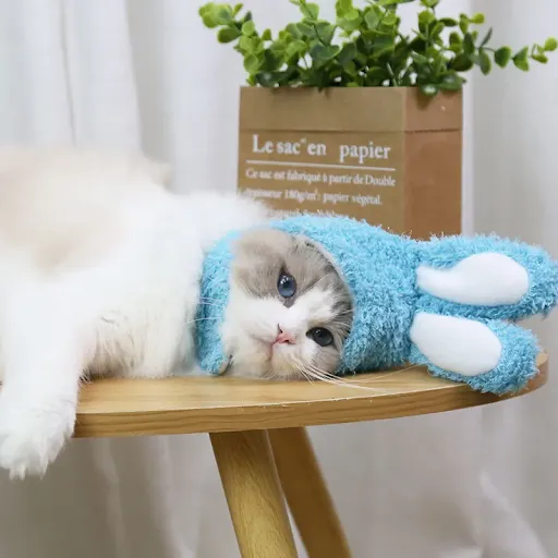 Cute Cat Cap Bunny Costume Warm Hat New Year Holiday Party Headgear Cosplay Props Headwear Pet Kitten Accessories Suppli