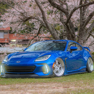 BRZ ZD8