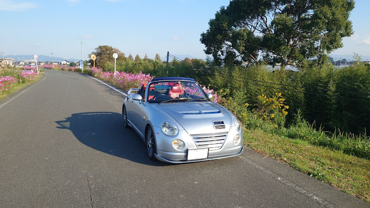 コペンの公園にて・コスモスとコラボに関するカスタム事例の投稿画像2枚目