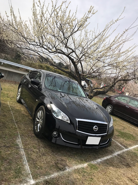 フーガのしゅんとさんが投稿したカスタム事例の投稿画像1枚目