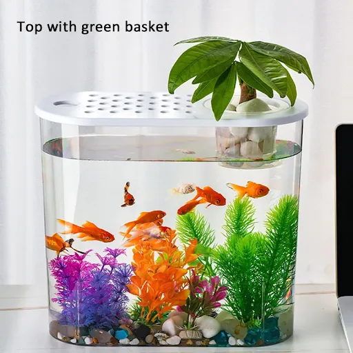 Ecological Fish Tank Aquarium Douyu Tabletop Aquarium Incubator Office Desk Mini Decorative Ornament with Hydroponic Bas