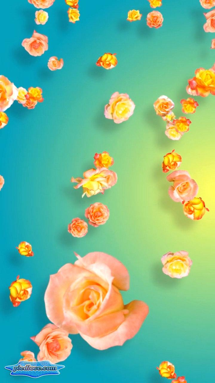 Tender Yellow Pink Roses 3D Screen 2