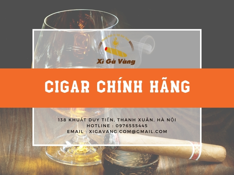 Xì Gà Vàng có rất nhiều sản phẩm đến từ các thương hiệu nổi tiếng