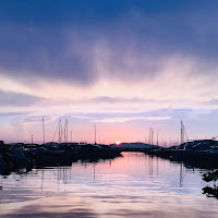 Alghero di Diamante