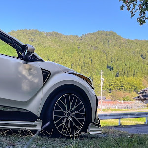 C-HR NGX50